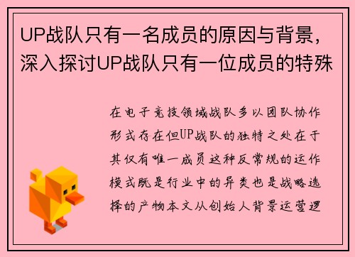 UP战队只有一名成员的原因与背景，深入探讨UP战队只有一位成员的特殊情况。