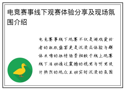 电竞赛事线下观赛体验分享及现场氛围介绍